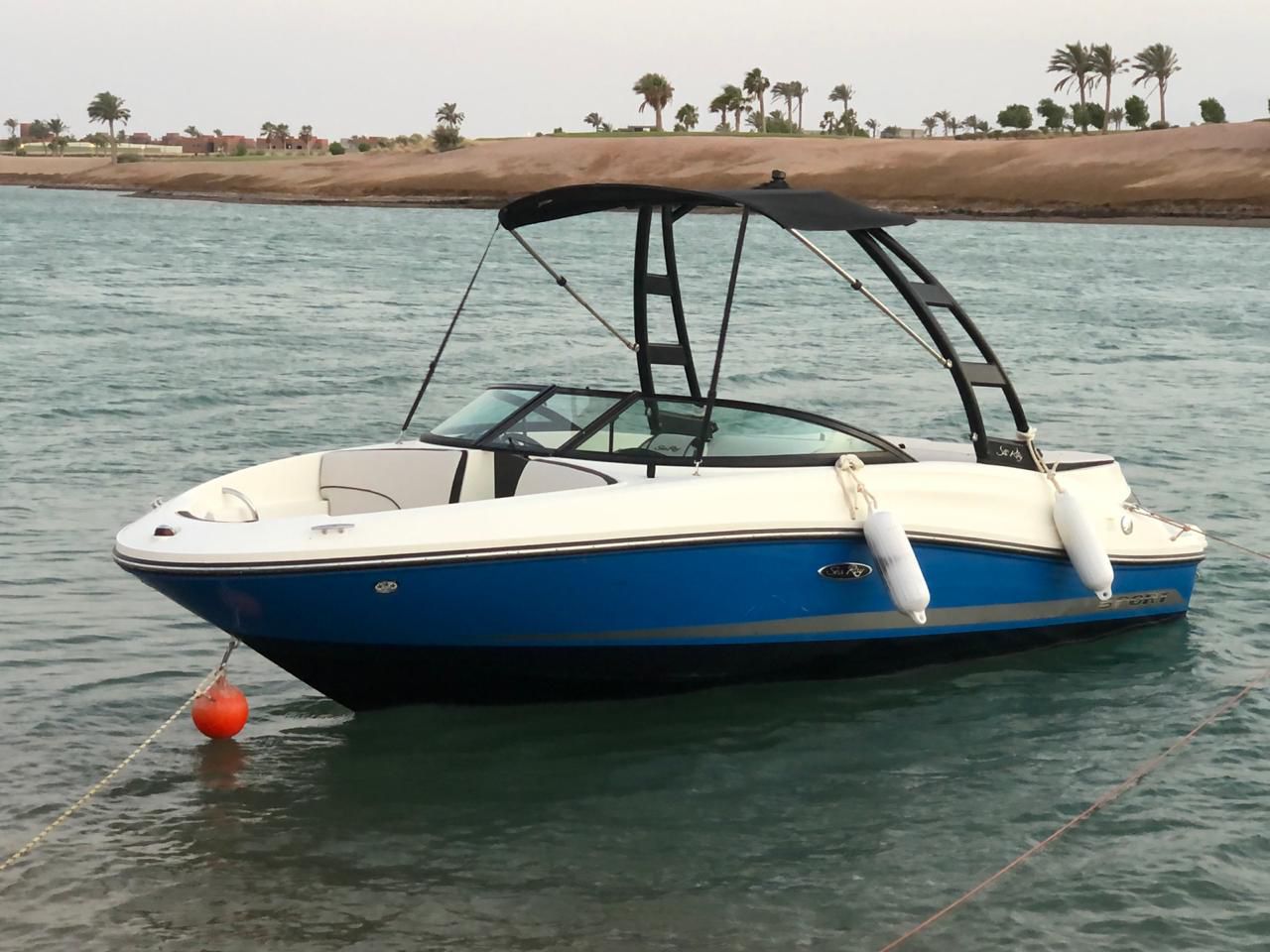 Sea Ray 190ex