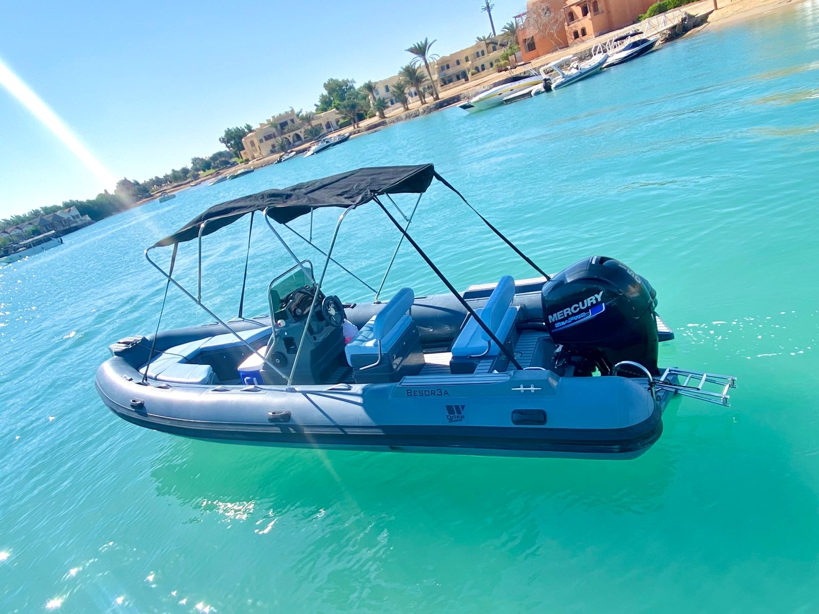Tiger Marine Proline 650