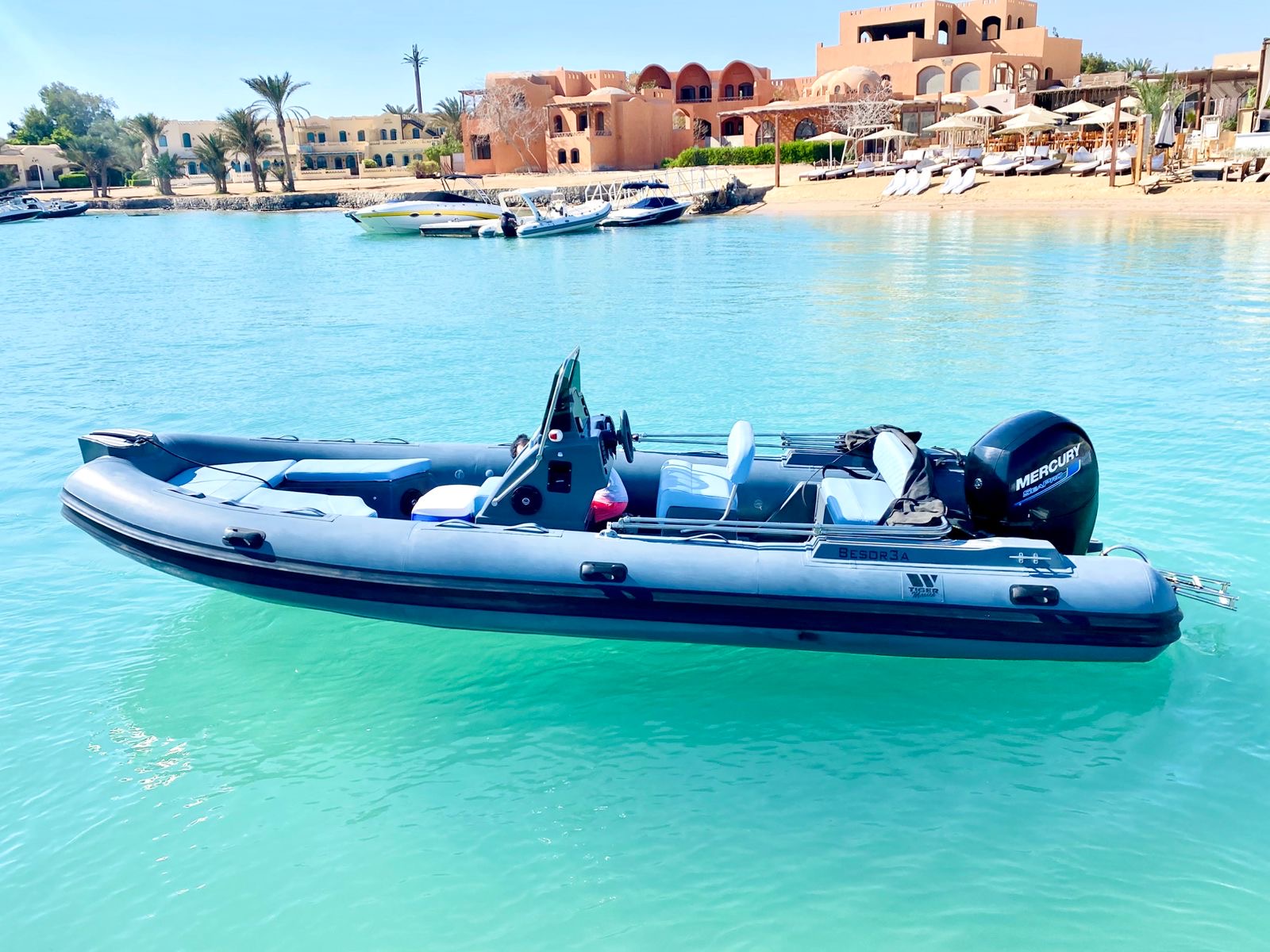 Tiger Marine Proline 650
